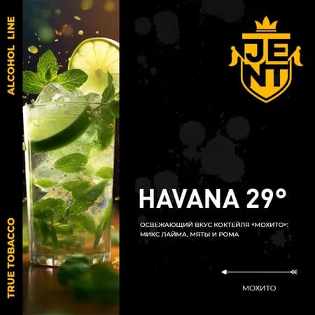Изображение вкуса Мохито (Havana 29) от Jent
