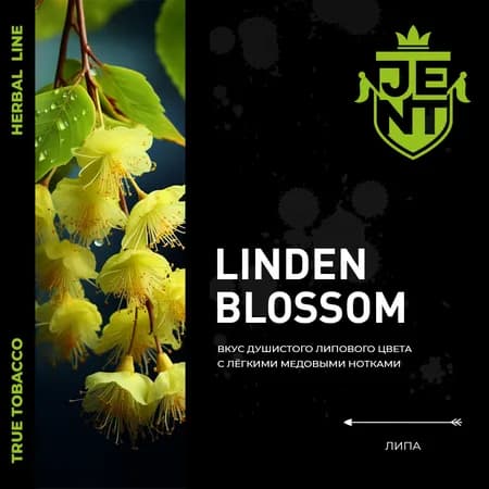Изображение вкуса Липа (Linden Blossom) от Jent