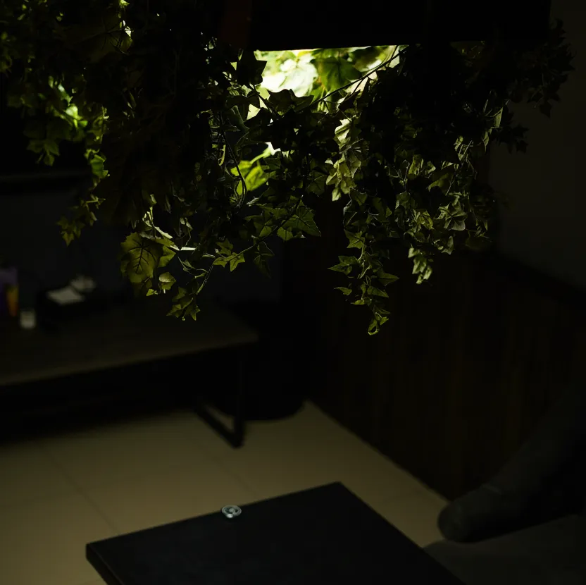 Изображение комнаты 3