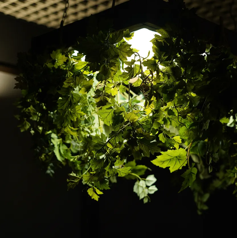 Изображение комнаты 4